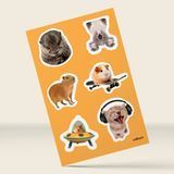 Animals - 3d sticker pack A6